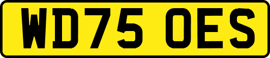 WD75OES