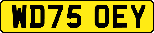 WD75OEY