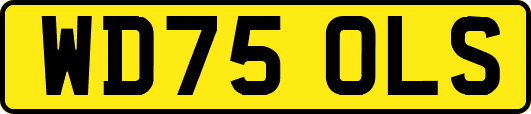 WD75OLS