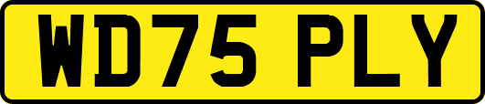 WD75PLY