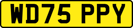 WD75PPY