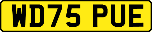 WD75PUE