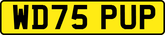 WD75PUP
