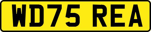 WD75REA