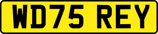 WD75REY