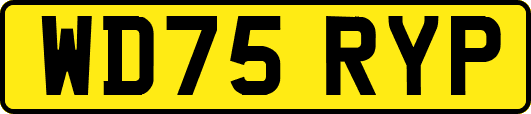 WD75RYP