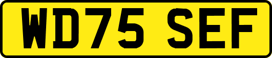 WD75SEF