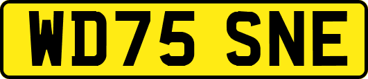 WD75SNE