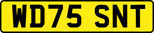 WD75SNT