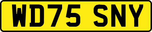 WD75SNY