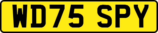 WD75SPY