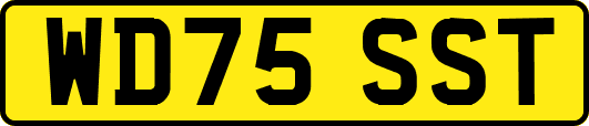 WD75SST