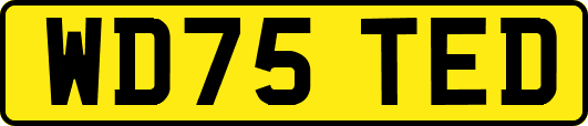 WD75TED