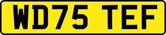WD75TEF