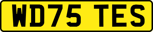 WD75TES