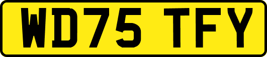 WD75TFY