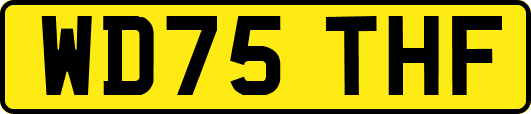 WD75THF