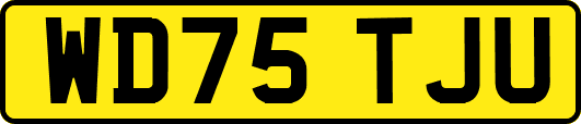 WD75TJU