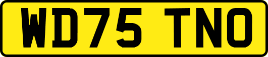 WD75TNO