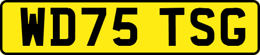 WD75TSG