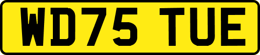 WD75TUE