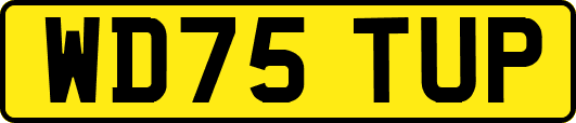WD75TUP