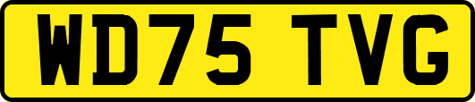 WD75TVG