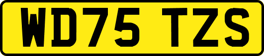 WD75TZS