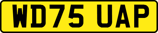 WD75UAP
