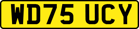 WD75UCY