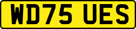 WD75UES