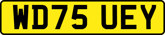 WD75UEY