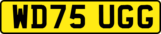 WD75UGG