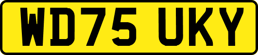 WD75UKY