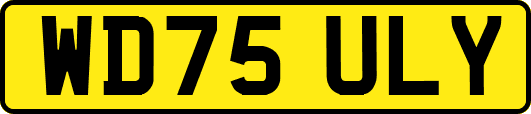 WD75ULY