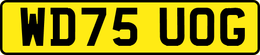 WD75UOG