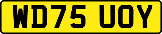 WD75UOY