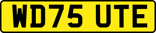 WD75UTE