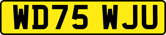 WD75WJU