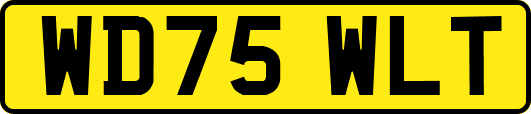WD75WLT