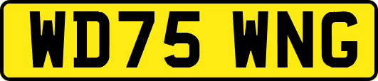 WD75WNG