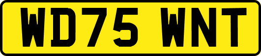 WD75WNT