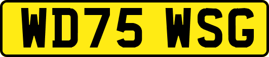 WD75WSG