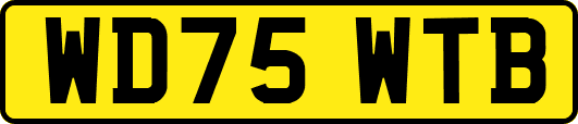 WD75WTB