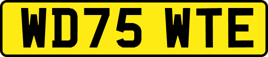 WD75WTE