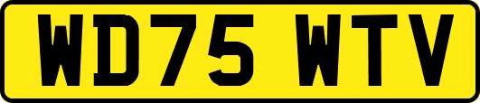 WD75WTV