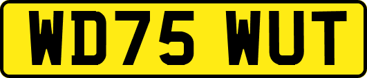 WD75WUT