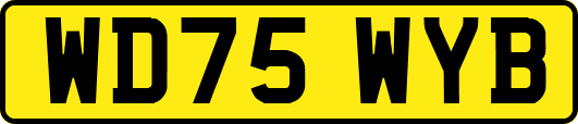 WD75WYB