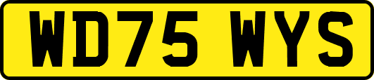 WD75WYS