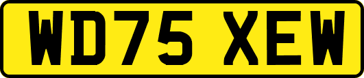 WD75XEW